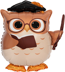 Шар (25"/64 см) Фигура, Сова Выпускник, С книгой, 1 шт. в уп.