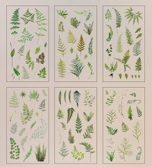 Наклейки декоративные, Листья, 6 шт.