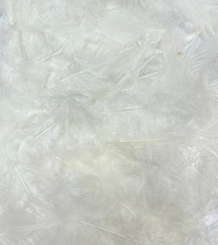 Перья, Белый, 10-12 см, 30 шт.