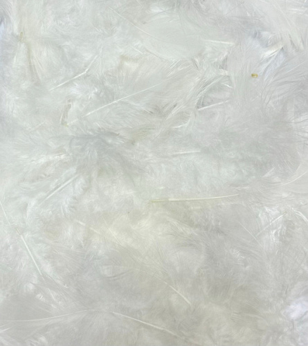 Перья, Белый, 10-12 см, 30 шт.