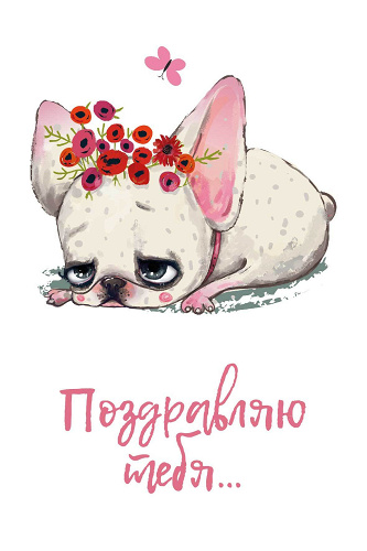 Открытка, Поздравляю тебя...(бульдожка), 10*15 см, 1 шт.
