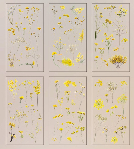 Наклейки декоративные, Мимоза, 6 шт.