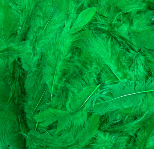 Перья, Изумрудный, 10-12 см, 30 шт.