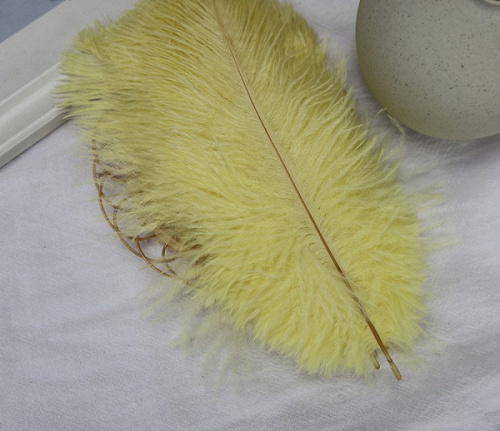 Перья, Желтый, 15-20 см, 10 шт.