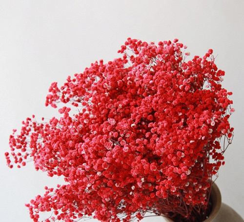 Стабилизированная гипсофила, Красный, 400 гр.