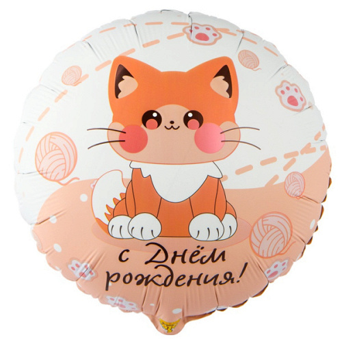 Шар (18"/46 см) Круг, С Днем Рождения, Котик усатый, 1 шт. в уп.