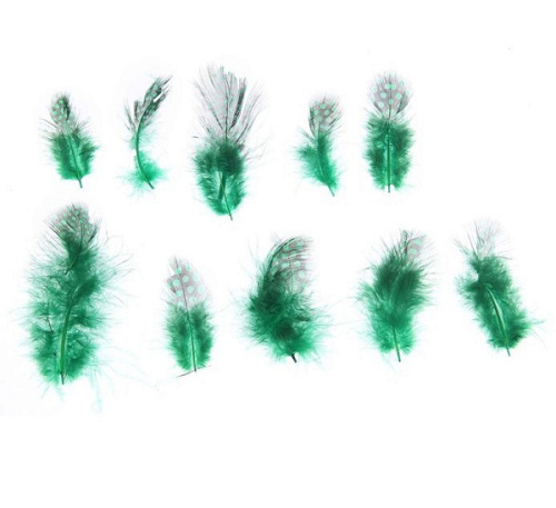 --Набор перьев для декора 10 шт, размер 1 шт 5*2 цвет зеленый с черным 0,1 см × 15 см × 15 см