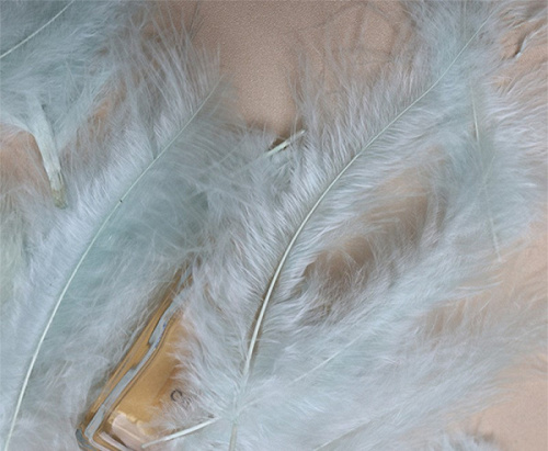 Перья, Мятный, 12-15 см, 50 шт.