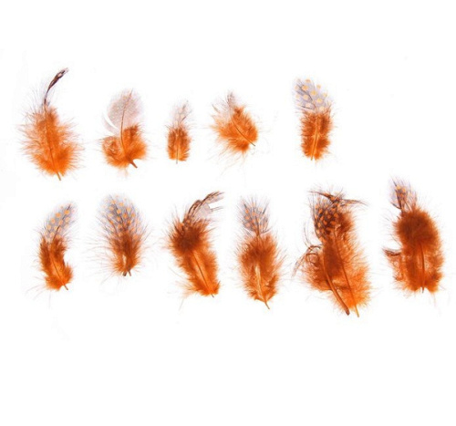 --Набор перьев для декора 10 шт, размер 1 шт 5*2 цвет оранжевый с черным 0,1 см × 15 см × 15 см