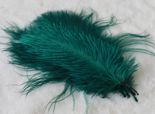 Перья, Изумруд, 15-20 см, 10 шт.