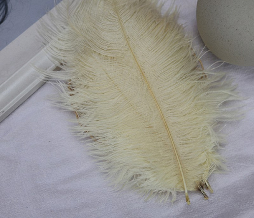 Перья, Кремовый, 15-20 см, 10 шт.
