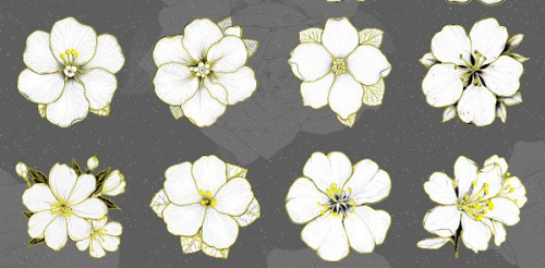 Наклейки декоративные, Бегония, Белый, 20 шт.