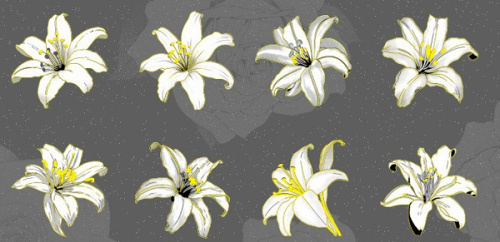 Наклейки декоративные, Лилия, Белый, 20 шт.